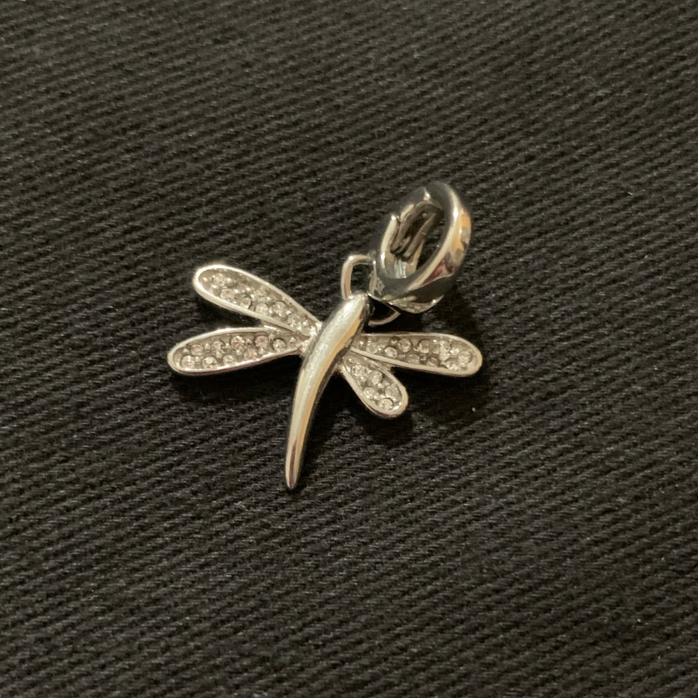Fossil dragonfly charm